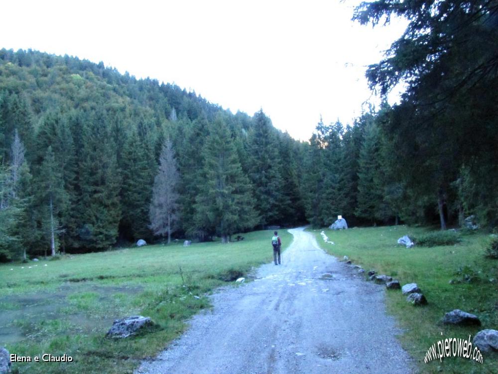 02 Nel bosco.JPG